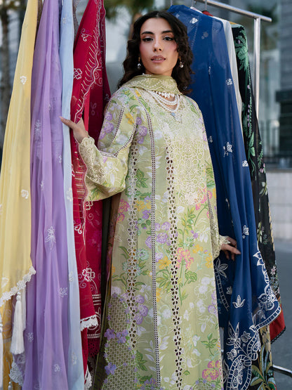 BW - 005 | 3 PC LAWN