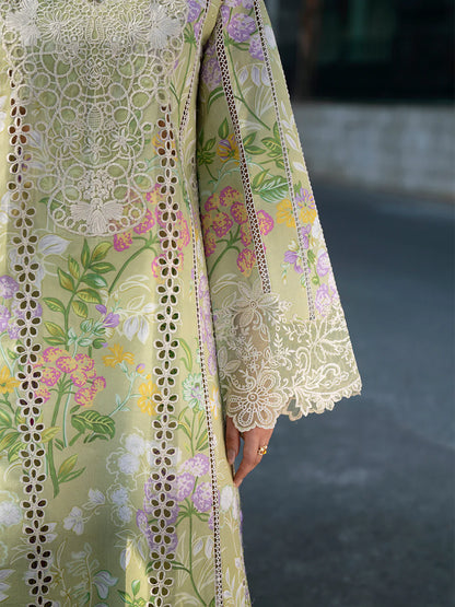 BW - 005 | 3 PC LAWN