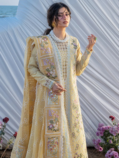 S-02 | LLUXURY LAWN
